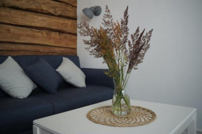 Aiaviisa apartment